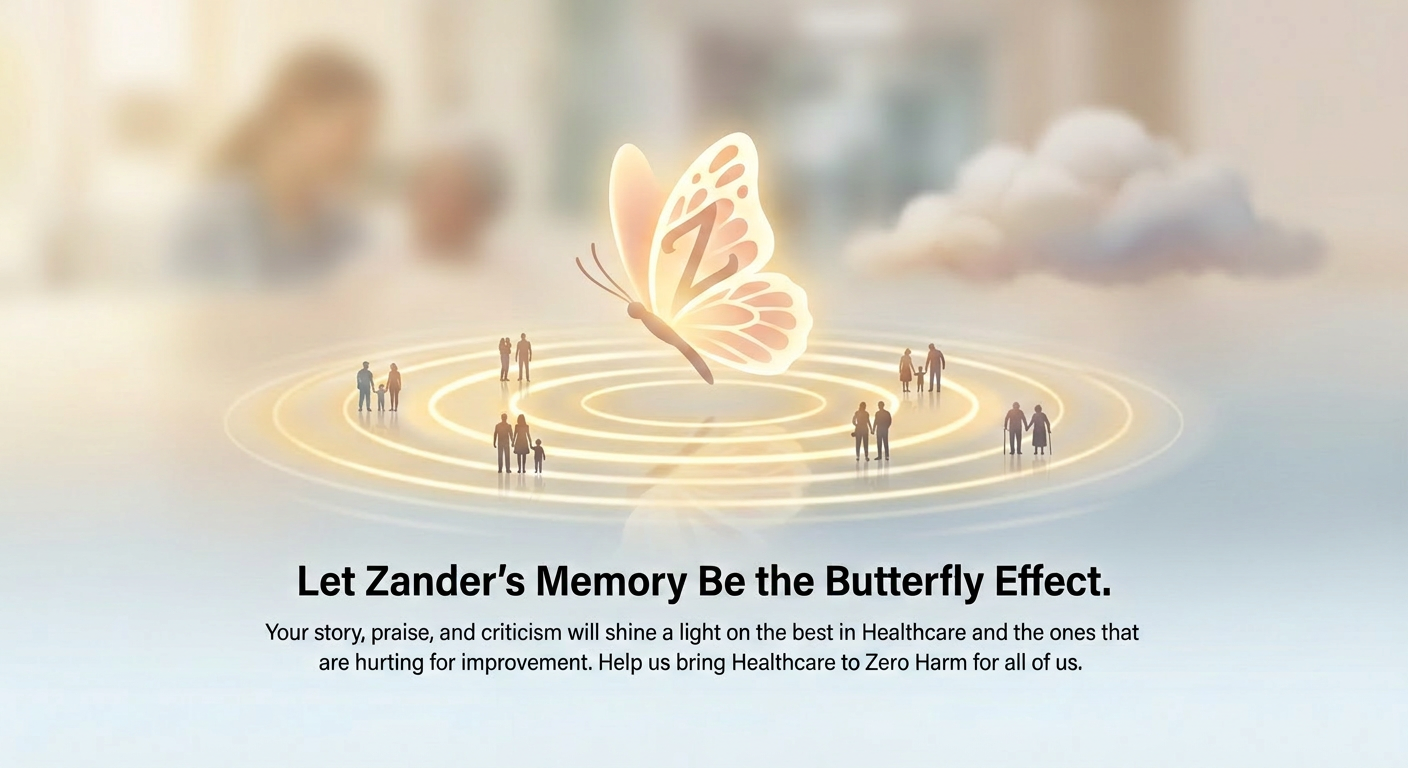 Let Zander's Memory Be the Butterfly Effect — one review protects many